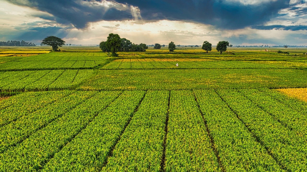 Dive Into Pumpedwithperi's Adult Content