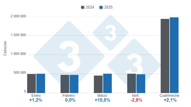 Gráfico 1: Beneficio de porcinos en el primer cuatrimestre de 2025, variaciones anuales 
Elaborado por el Departamento de Economía y Sostenibilidad de 333 Latinoamérica con datos del DANE.