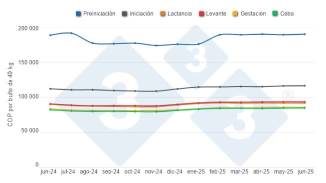 Gráfico 1: Evolución de los precios promedio del alimento para cerdos por categorías en los últimos 12 meses. 
Elaborado por el Departamento de Economía y Sostenibilidad de 333 Latinoamérica con datos de SIPSA - DANE