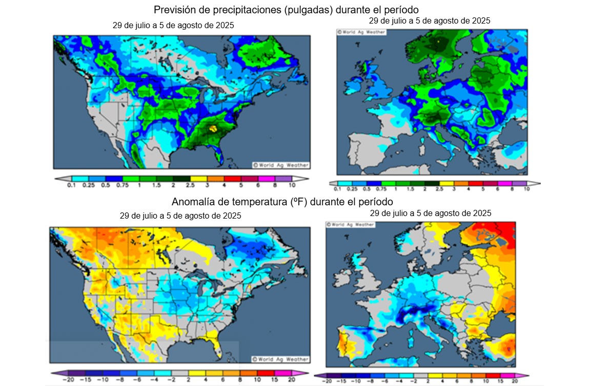 Figura 1. Previsi&oacute;n del clima en los EE.UU. y Europa (fuente: Grads/Cola)

