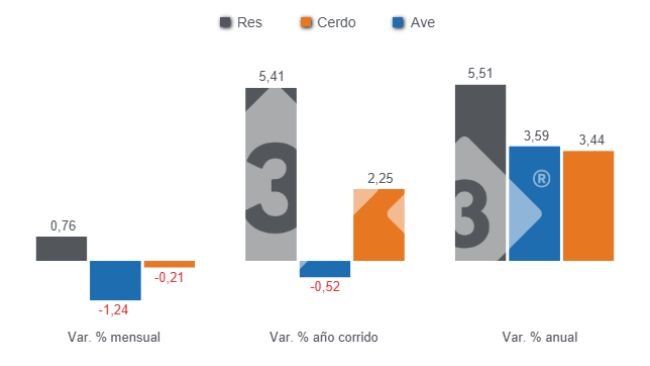 Gráfico 1: Variaciones porcentuales del Índice de Precios al Consumidor (IPC) de las principales proteínas de origen animal en Colombia, julio de 2025. 
Elaborado por el Departamento de Economía y Sostenibilidad 333 Latinoamérica son datos del DANE.