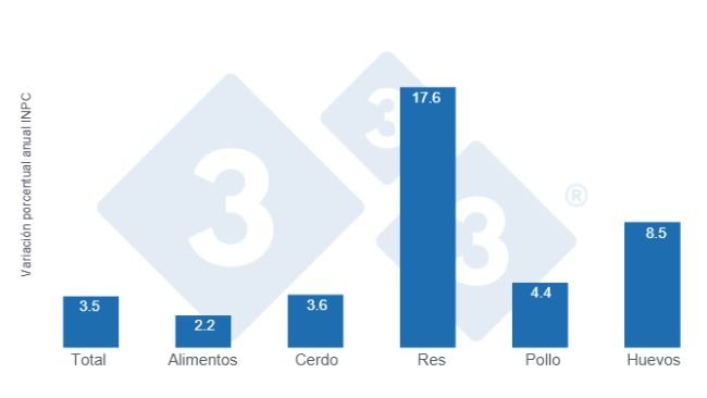 Gráfico 1: Variaciones porcentuales anuales del INPC total, alimentos y principales proteínas de origen animal – Primera quincena de agosto de 2025.  
Elaborado por el Departamento de Economía y Sostenibilidad de 333 Latinoamérica con datos del Servicio de Información Agroalimentaria y Pesquera (SIAP).