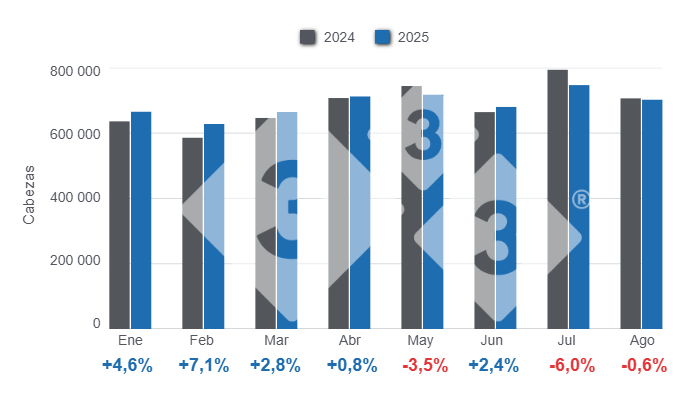 Gráfico 1: Evolución mensual de la faena de porcinos en el período enero – agosto, variaciones anuales. 

Elaborado por el Departamento de Economía y Sostenibilidad de 333 Latinoamérica con datos de la Secretaría de Agricultura, Ganadería y Pesca del Ministerio de Economía de Argentina.