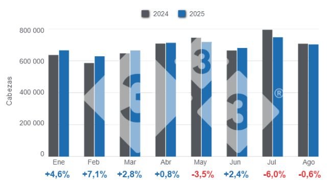 Gráfico 1: Evolución mensual de la faena de porcinos en el período enero – agosto, variaciones anuales. 
Elaborado por el Departamento de Economía y Sostenibilidad de 333 Latinoamérica con datos de la Secretaría de Agricultura, Ganadería y Pesca del Ministerio de Economía de Argentina.
