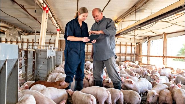 Liderar equipos intergeneracionales