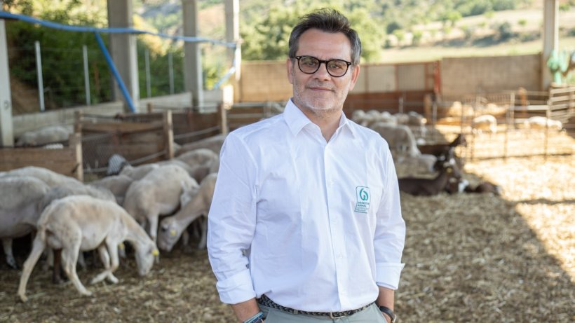 Carles Rosell, CEO de Welfair®