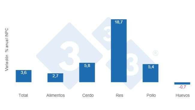 Gráfico 1: Variaciones porcentuales anuales del INPC total, alimentos y principales proteínas de origen animal – Primera quincena de octubre de 2025.
Elaborado por el Departamento de Economía y Sostenibilidad de 333 Latinoamérica con datos del Servicio de Información Agroalimentaria y Pesquera (SIAP).