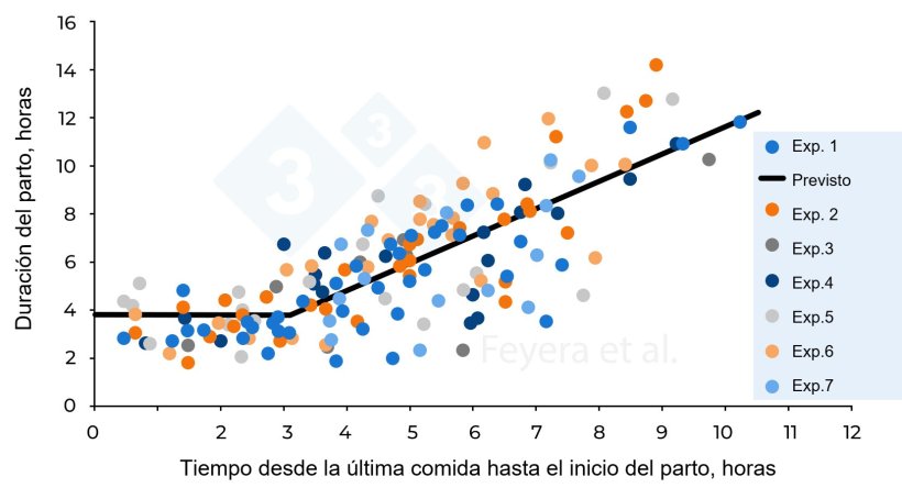 Figura 2. La relación entre el tiempo transcurrido desde la última comida hasta el inicio del parto y la duración del parto. En el Exp. 1, las cerdas recibieron dos raciones diarias mientras que en los Exp. 2 a 7, las cerdas recibieron 3 raciones diarias. Los círculos de diferentes colores indican las cerdas individuales estudiadas en 7 experimentos previos, mientras que la línea continua indica los valores previstos. Feyera et al. (2018): Journal of Animal Science. 96: 2320–2331.
