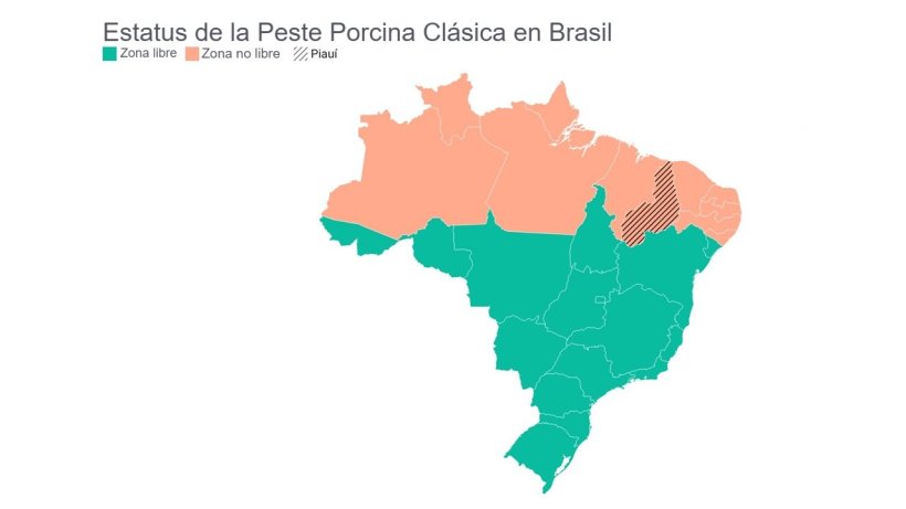 Estatus de la peste porcina cl&aacute;sica en Brasil. Fuente: Mapa elaborado con datos publicados por la CNA, 2024.