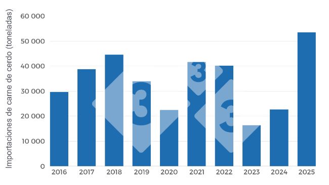 Gr&aacute;fico 3. Evoluci&oacute;n anual&nbsp;de toneladas importadas (peso producto) periodo 2016-2025. Elaboraci&oacute;n propia con datos de la Secretar&iacute;a de Agricultura, Ganader&iacute;a y Pesca (SAGYP).
