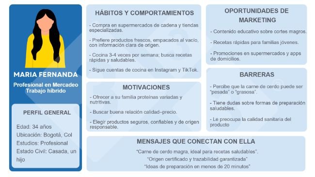 Figura 1. Ejemplo de Buyer Persona