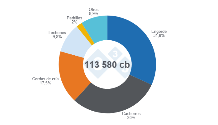 Gr&aacute;fico 1: Distribuci&oacute;n del inventario porcino en Uruguay en 2024. Elaborado por el Departamento de Econom&iacute;a y Sostenibilidad de 333 Latinoam&eacute;rica con datos del Ministerio de Agricultura Ganader&iacute;a y Pesca de Uruguay