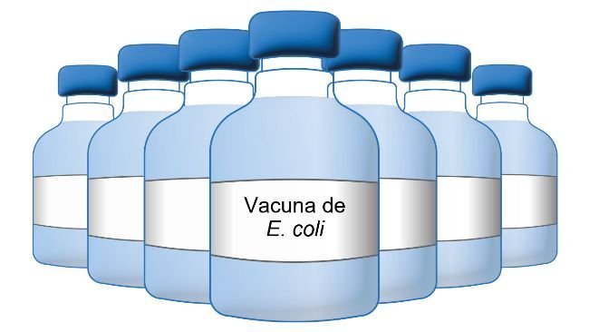 Vacuna de E coli