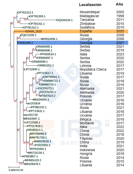 Relación filogenética de la cepa Sp25