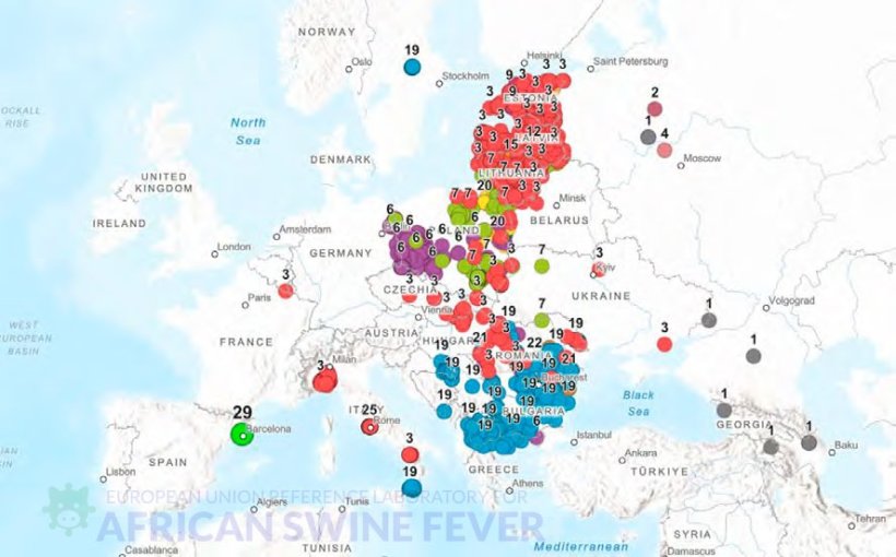 Distribución geográfica de los subgrupos genéticos del VPPA del genotipo II en Europa, destacando el grupo genético 29 detectado en España (Fuente: EURL-ASF).