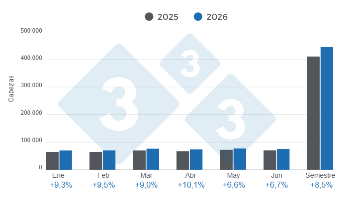 Gráfico 1: Beneficio mensual de porcinos en el primer semestre de 2026 – variaciones anuales. Elaborado por el Departamento de Economía y Sostenibilidad de 333 Latinoamérica con datos de CAPORC y CNP