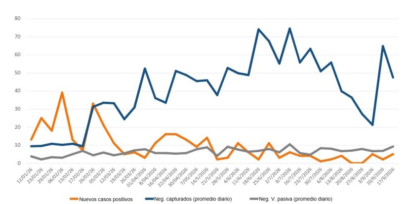 Evoluci&oacute;n de positivos, capturas y vigilancia pasiva semanal en las zonas I y II. Fuente: 333 a partir de datos del MAPA.