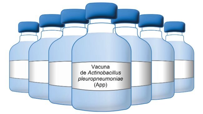 Vacuna de App