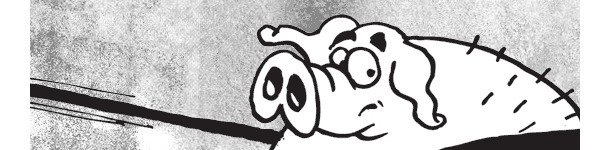 Relanzamiento productos porcinos