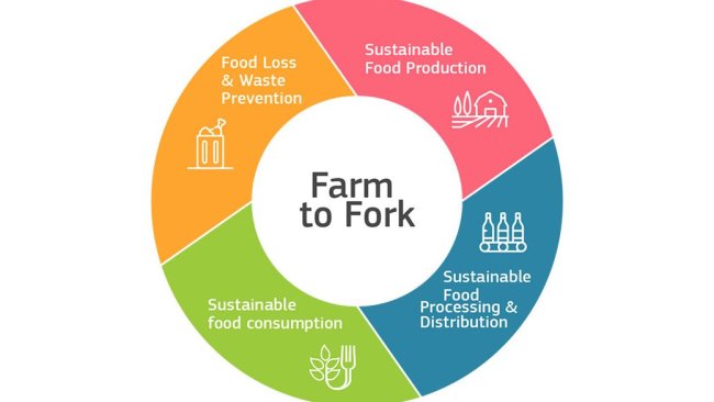 De la granja a la mesa