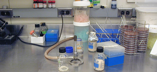 Laboratorio