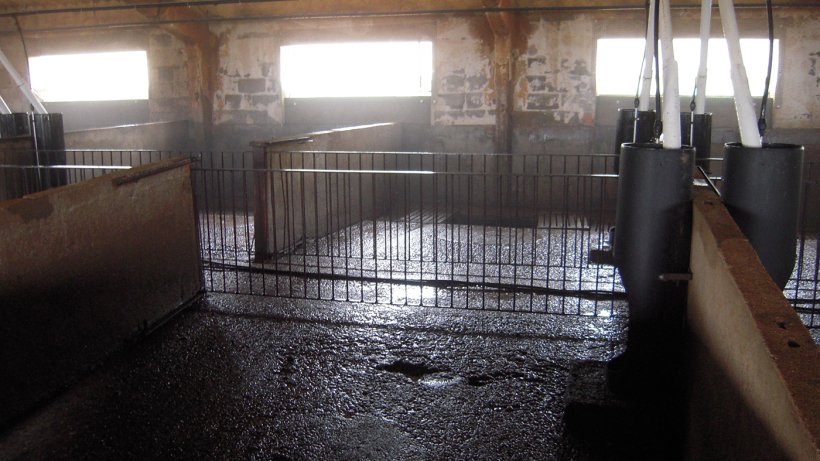 persistencia de los coronavirus en superfícies