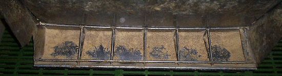 Manejo de la alimentación en el destete