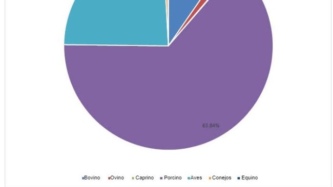 Producción de carne en España en 2019