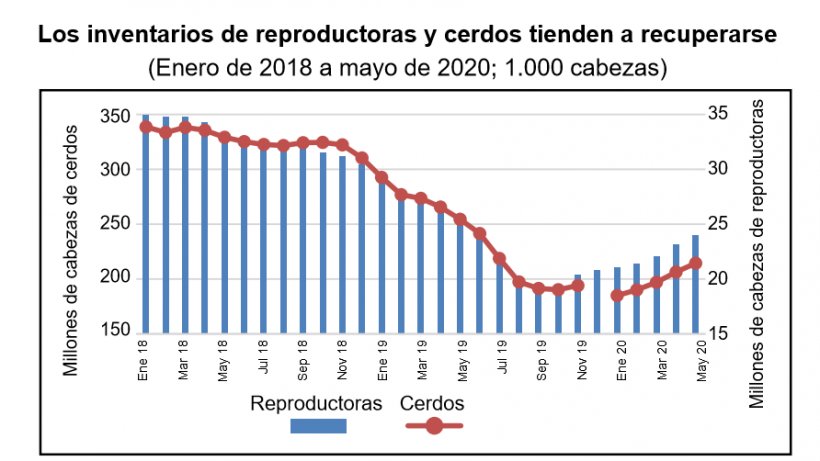 Datos de diciembre de 2019 no disponibles. Fuente: MARA
