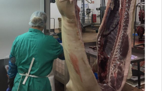 carne cerdo