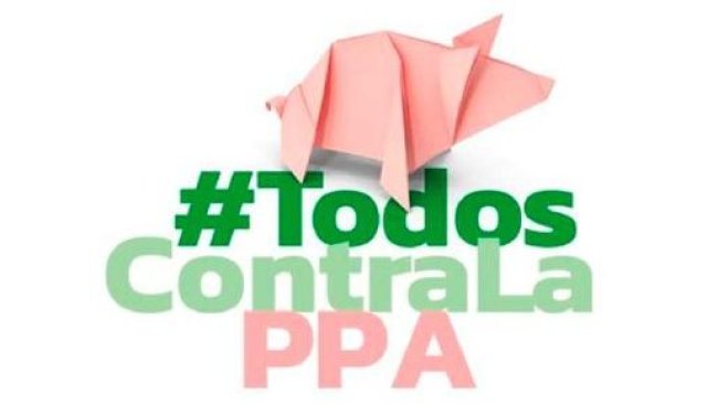 prevencion PPa America