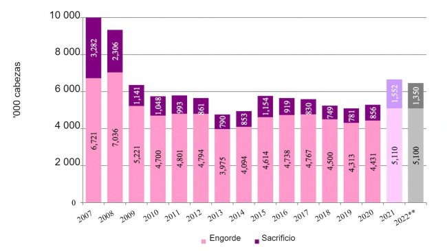 Exportaciones canadienses de cerdos no reproductores a Estados Unidos. **Previsión. Fuente: USDA via Trade Data Monitor, LLC/FAS/Ottawa.