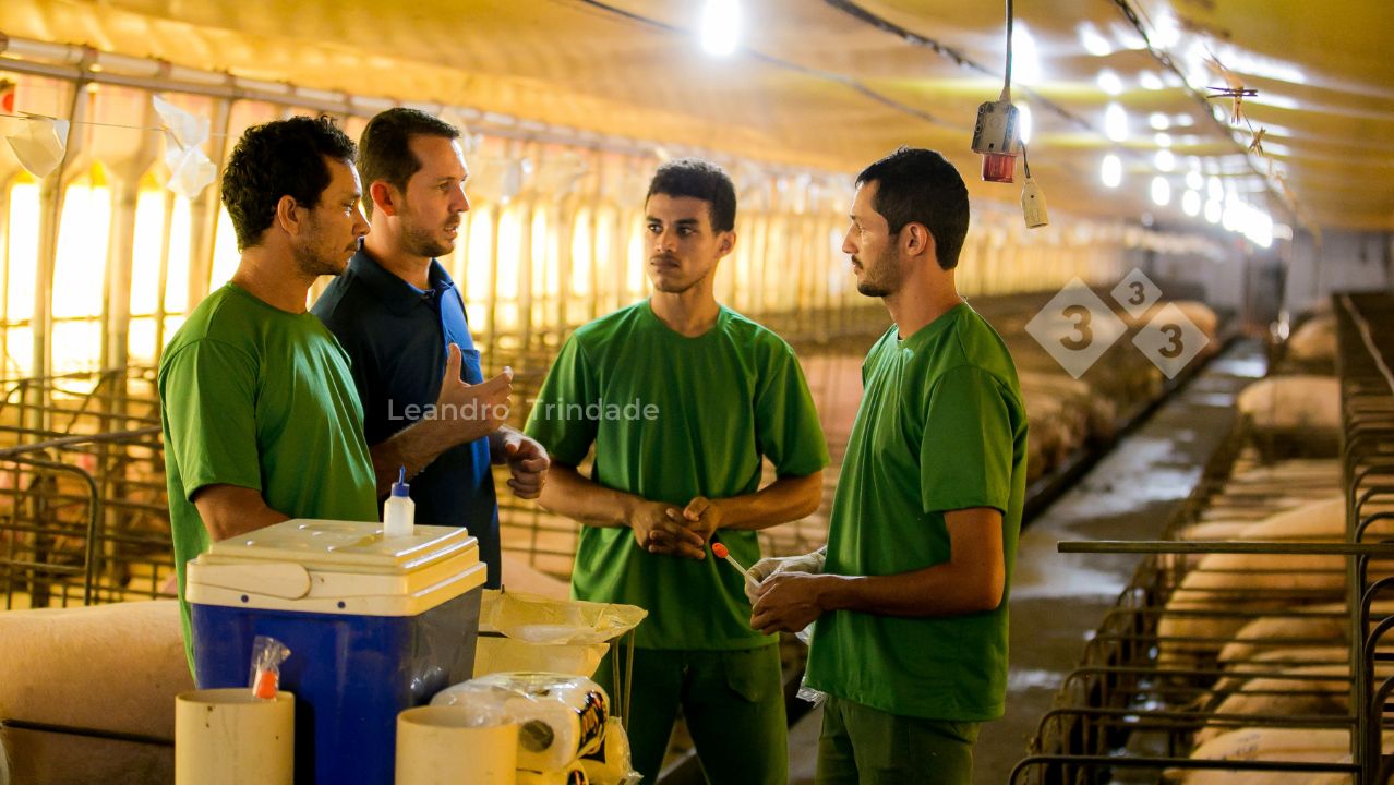 A menudo, los comportamientos de los equipos ocasionan fallas de gesti&oacute;n que pueden ser eliminadas con intervenciones t&eacute;cnicas, pero su causa principal requiere una soluci&oacute;n adaptativa
