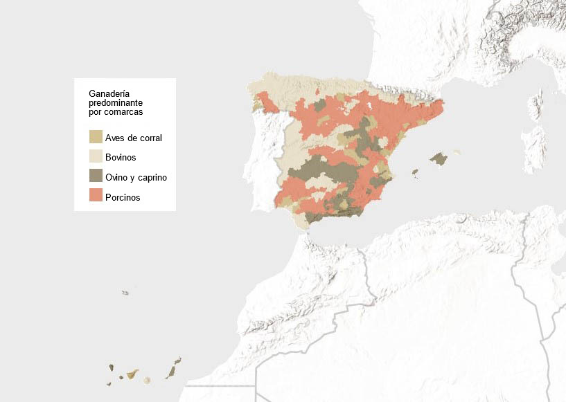 Tipo de ganado predominante en Espa&ntilde;a (seg&uacute;n UGT). Fuente: INE.
