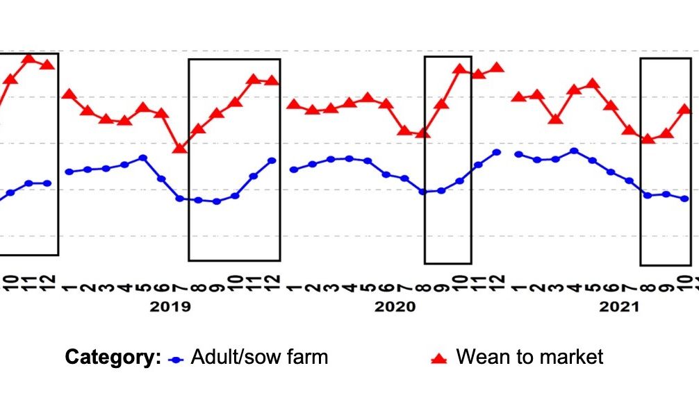 Gr&aacute;fico 1. Porcentaje de muestras PCR positivas para las categor&iacute;as de&nbsp;reproductores y de cerdos de destete a venta.&nbsp;Los recuadros negros muestran los picos m&aacute;s acentuados y/o m&aacute;s tempranos en los datos de destete a venta&nbsp;en comparaci&oacute;n con los de las explotaciones de reproductores/cerdas.&nbsp;Fuente:&nbsp;ISU-VDL: Iowa State University Veterinary and Diagnostic Laboratory; UMN-VDL: University of Minnesota Veterinary and Diagnostic Laboratory; SDSU-ADRDL; South Dakota State University Animal Disease Research and Diagnostic Laboratory; KSU-VDL: Kansas State University Veterinary and Diagnostic Laboratory; OH-ADDL: Ohio Animal Disease and Diagnostic Laboratory.
