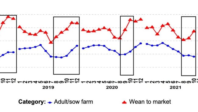 Gráfico 1. Porcentaje de muestras PCR positivas para las categorías de reproductores y de cerdos de destete a venta. Los recuadros negros muestran los picos más acentuados y/o más tempranos en los datos de destete a venta en comparación con los de las explotaciones de reproductores/cerdas. Fuente: ISU-VDL: Iowa State University Veterinary and Diagnostic Laboratory; UMN-VDL: University of Minnesota Veterinary and Diagnostic Laboratory; SDSU-ADRDL; South Dakota State University Animal Disease Research and Diagnostic Laboratory; KSU-VDL: Kansas State University Veterinary and Diagnostic Laboratory; OH-ADDL: Ohio Animal Disease and Diagnostic Laboratory.