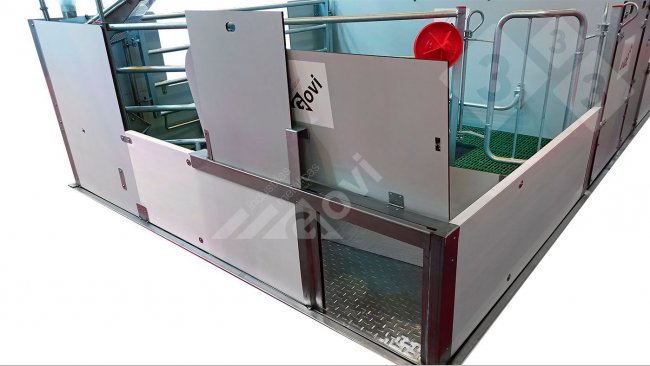 Figura 1. Sala de maternidad con puertas que dan acceso a los lechones al nido o sala contigua.
