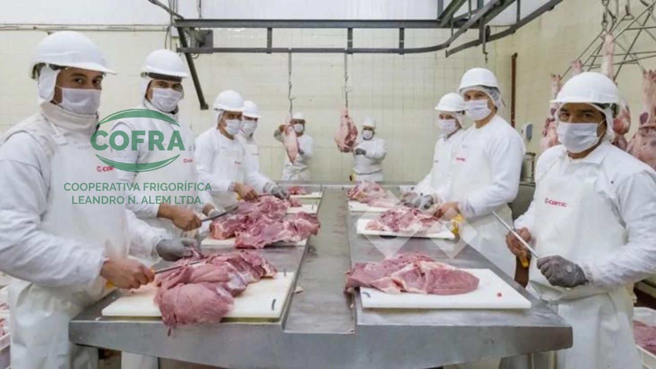 Recurso humano COFRA