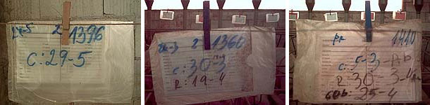 Anotaciones sobre la ficha envuelta en una bolsa de pl&aacute;stico