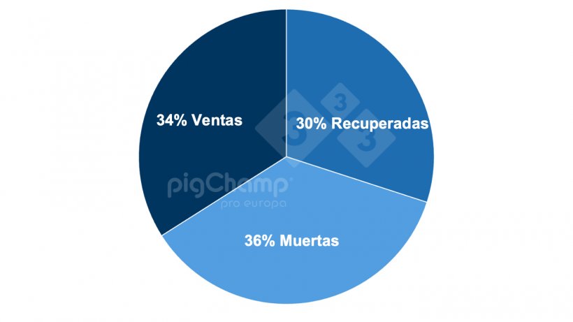 Gr&aacute;fico 2. Distribuci&oacute;n de las cerdas que destetan 0 lechones por destino posterior, periodo de destetes Julio 20-Junio 21.
