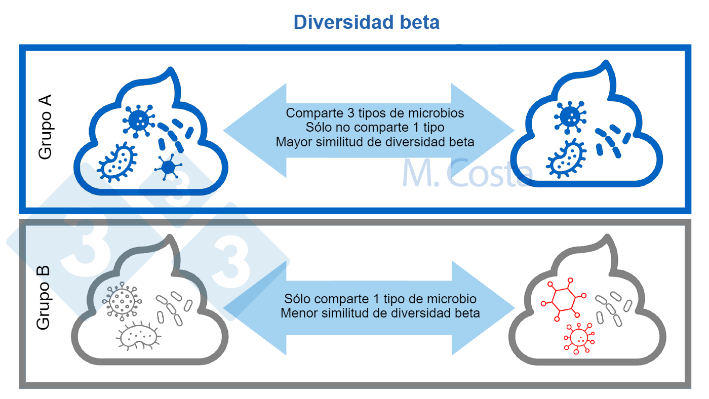 <p>Figura 3. Entendiendo los cambios en la composici&oacute;n microbiana entre las muestras (diversidad beta). Una comunidad microbiana m&aacute;s similar comparte m&aacute;s tipos de microbios entre las muestras. Normalmente, para calcular el &iacute;ndice de diversidad beta se tienen en cuenta otros aspectos (como las relaciones gen&eacute;ticas entre los microbios).</p>
