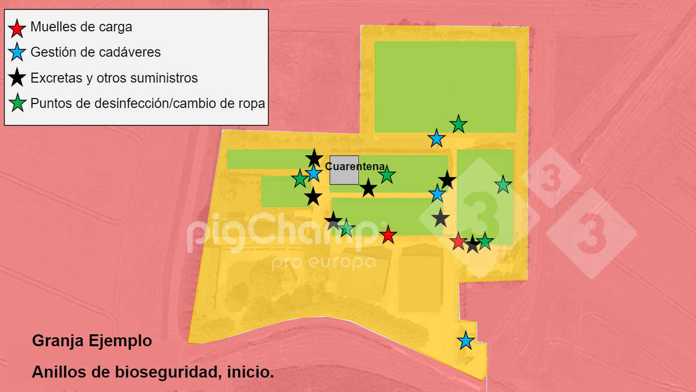 Imagen 2. Anillos de bioseguridad de partida.
