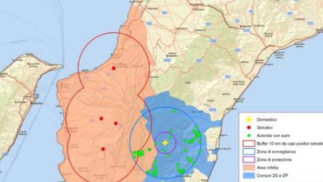 Localización de los nuevos focos de PPA en la región de Calabria, Italia
(puntos rojos: focos en jabalíes silvestres; cruz amarilla: foco en explotación de porcino). Fuente: MAPA.