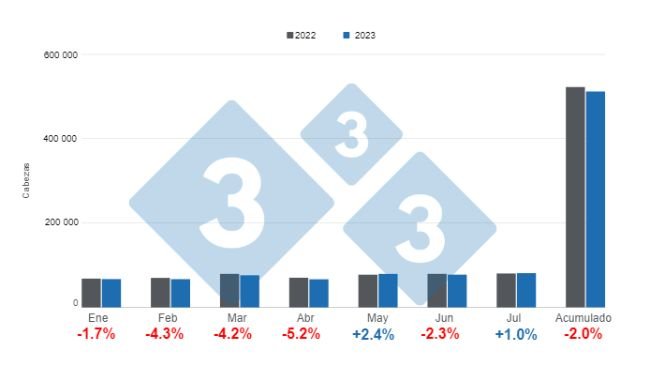 Gráfico 1. Beneficio mensual de porcinos en lo corrido de 2023. Elaborado por el Departamento de Economía e Inteligencia de Mercados de 333 Latinoamérica con datos de CAPORC y CNP. 
