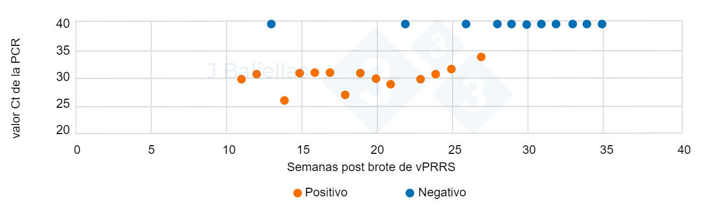 Evolución de los valores Ct  de la PCR en las semanas post brote de PRRS