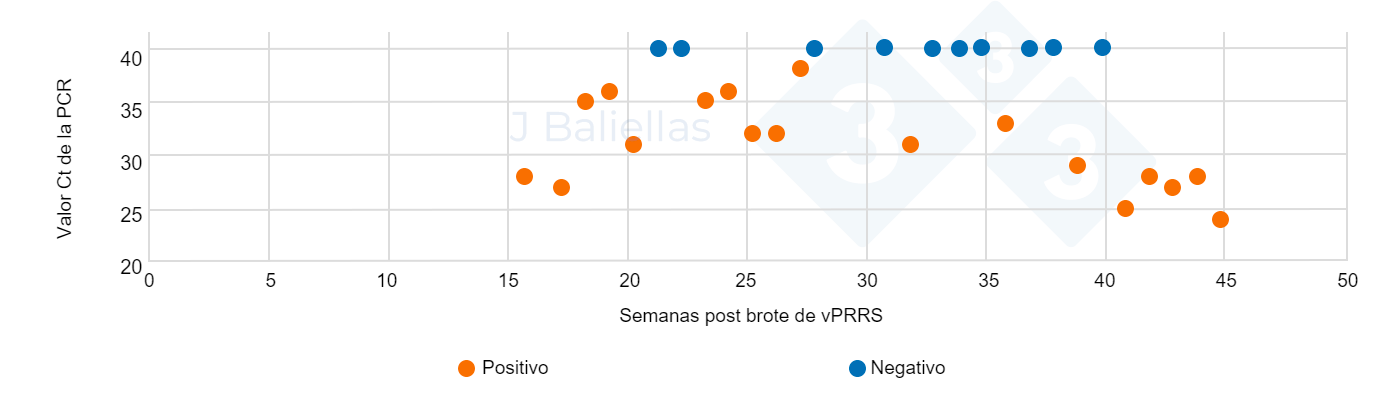 Evolución de los valores Ct  de la PCR en las semanas post brote de PRRS