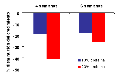 Efecto infección ETEC en lechones destetados