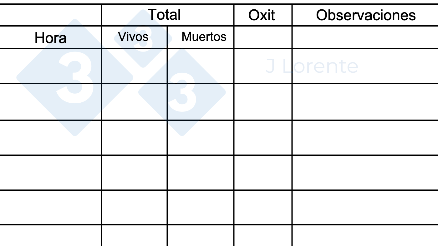 Hoja de monitorización del parto