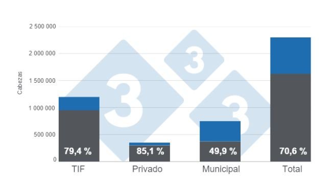 Gráfico 1: Capacidad instalada para beneficio de porcinos por tipo de rastro, número máximo de cabezas y porcentaje de utilización. 
Elaborado por el Departamento de Economía e Inteligencia de Mercados de 333 Latinoamérica con datos del Servicio de Información Agroalimentaria y Pesquera (SIAP). 
 
