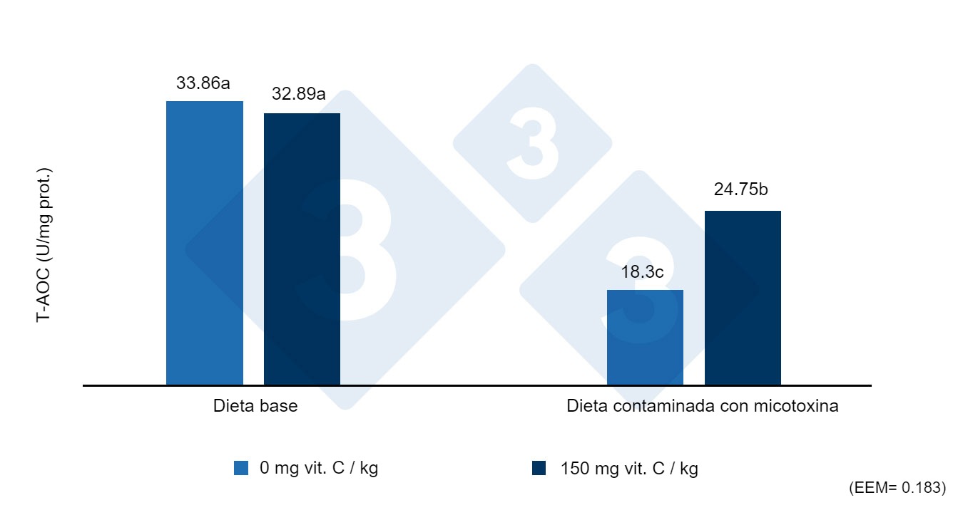 Figura 2. Capacidad antioxidante total (T-AOC) en hígado de lechones destetados alimentados con dietas contaminadas con zearalenona con o sin dosis alta de vitamina C. Diferentes letras indican diferencias estadísticamente significativas (p<0,05). Fuente: Shi y col. (2017)